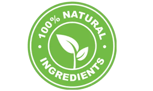 BrainMary  100 Percent Natural Blood Sugar Support Formula